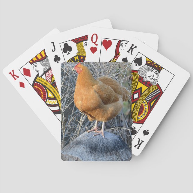 Cartes de jeu de poulet (dos)