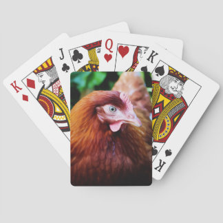 Cartes de jeu de poulet