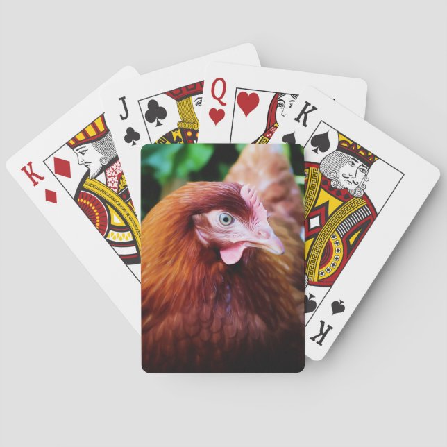 Cartes de jeu de poulet (dos)