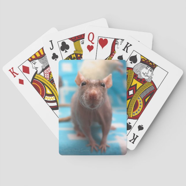 Cartes de jeu de rat (dos)