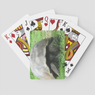 Cartes de jeu de tortue géante