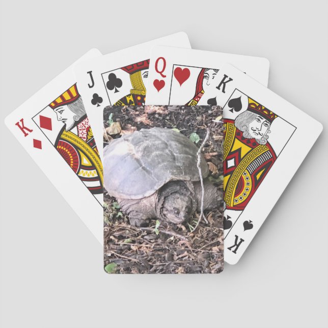 Cartes de jeu de tortues (dos)
