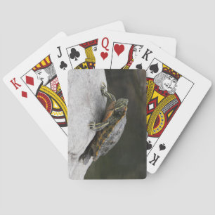 Cartes de jeu de tortues