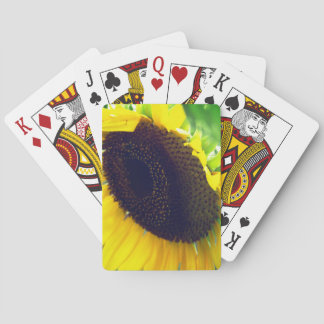 Cartes de jeu de tournesol