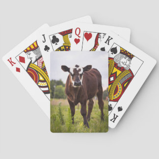 Cartes de jeu de vache