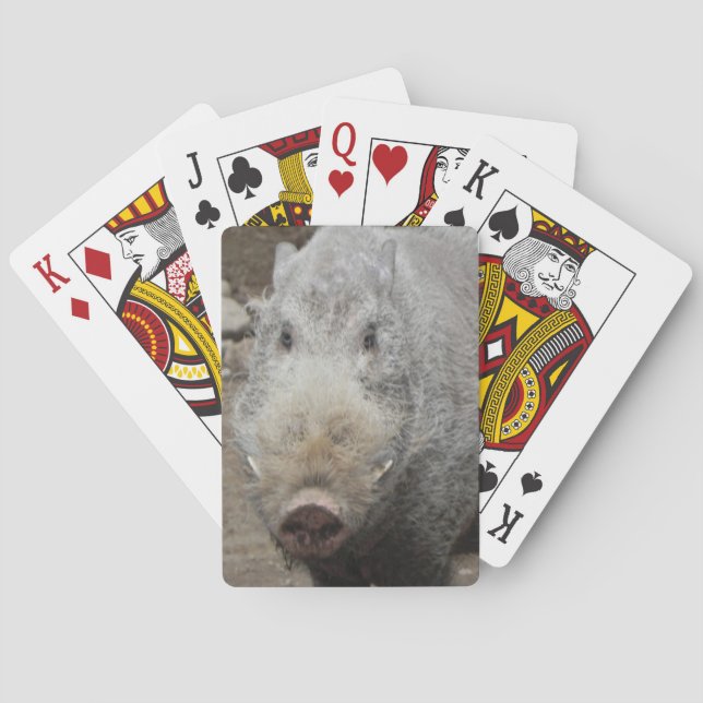 Cartes de jeu de visage de tisonnier (dos)