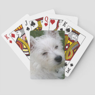 Cartes de jeu de Westie