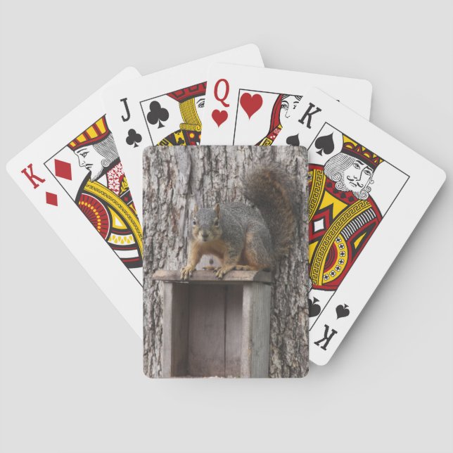 Cartes de jeu d'écureuils (dos)