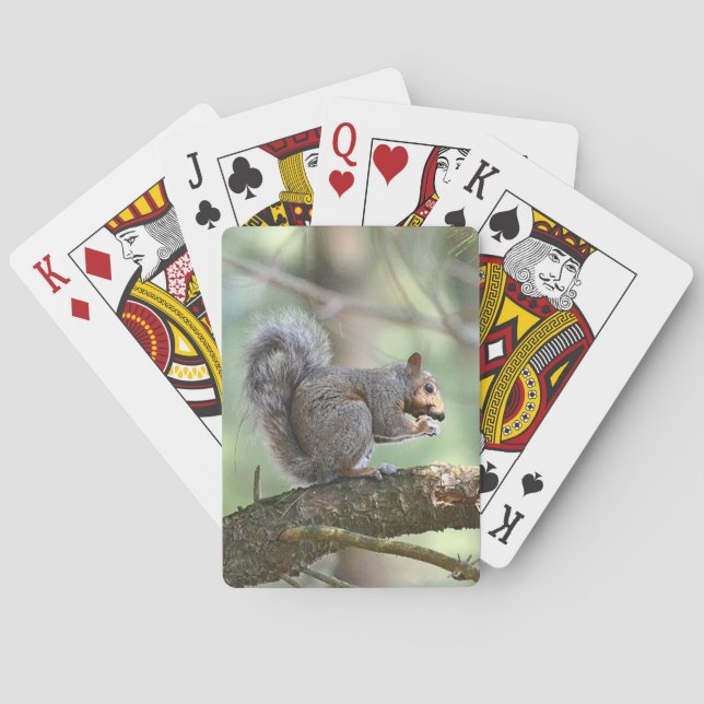 Cartes de jeu d'écureuils (dos)