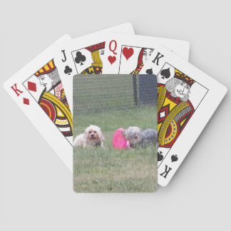Cartes de jeu d'en cuivre et de penny
