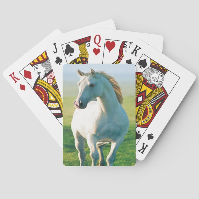 Cartes de jeu du cheval blanc (dos)