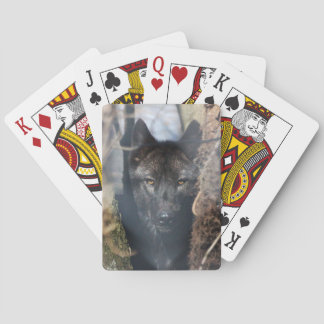 Cartes de jeu du loup noir