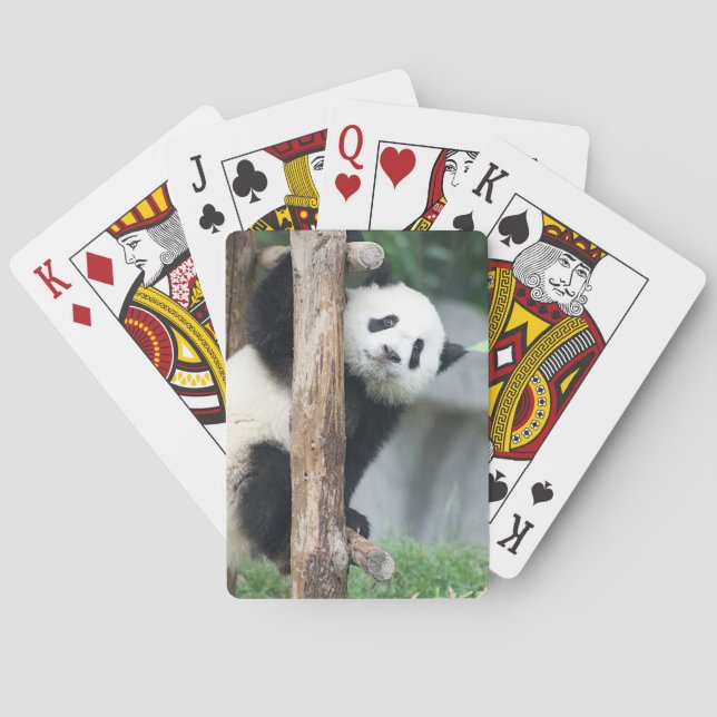 Cartes de jeu étonnées de CUB de panda (dos)