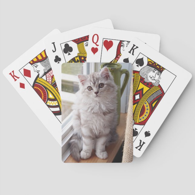Cartes de jeu faites sur commande de chaton de (dos)