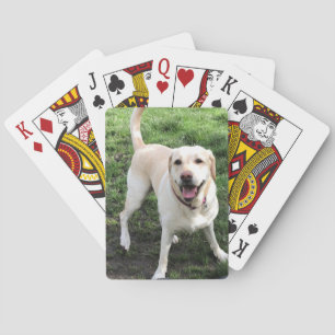Cartes de jeu Labrador