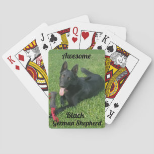 Cartes de jeu noires impressionnantes de berger