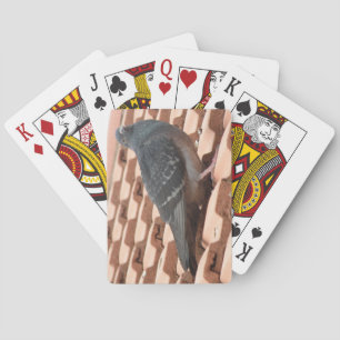 Cartes de jeu Pigeon Sur Le Toit