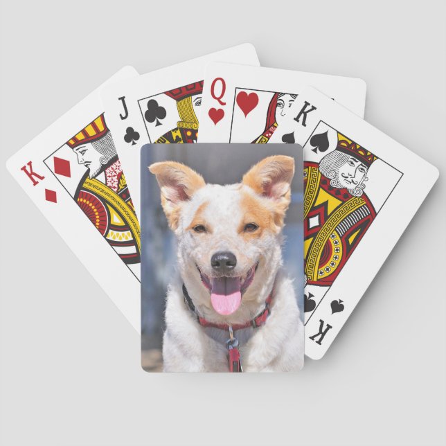 Cartes de jeu riantes de chien (dos)