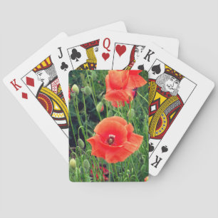 Cartes de jeu rouges de pavot