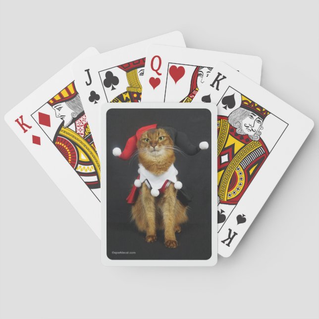Cartes de jeu somaliennes de chat de joker (dos)