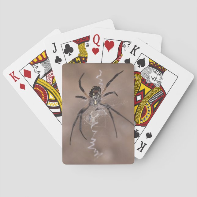 Cartes de jeu Spider (dos)