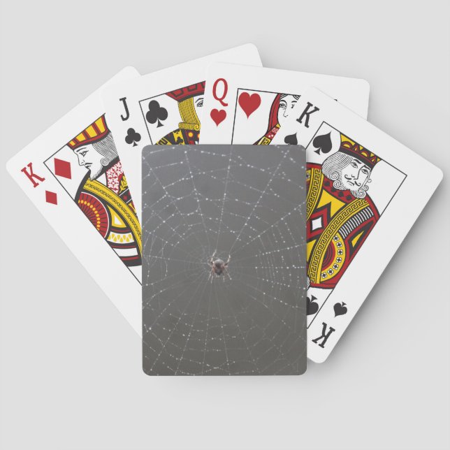 Cartes de jeu Spider (dos)