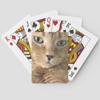 Cartes de jeu tigrées oranges