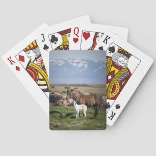 Cartes de jeu uniques de l'amoureux du cheval