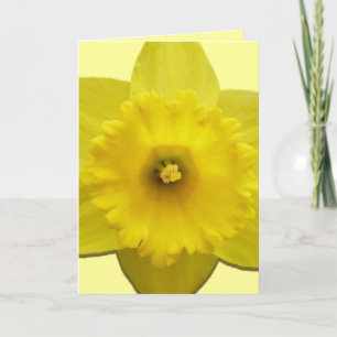 Cartes de jonquille personnalisées Cartes de fleur