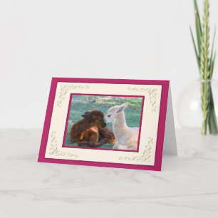 Cartes de jour de Valentines d'amour de bébé