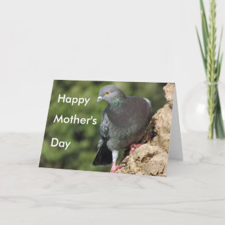 Cartes de la Fête des Mères de Pigeon Funky