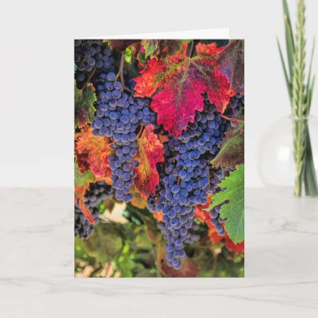 Cartes de Merci de vignoble d'automne de pays de (Devant)