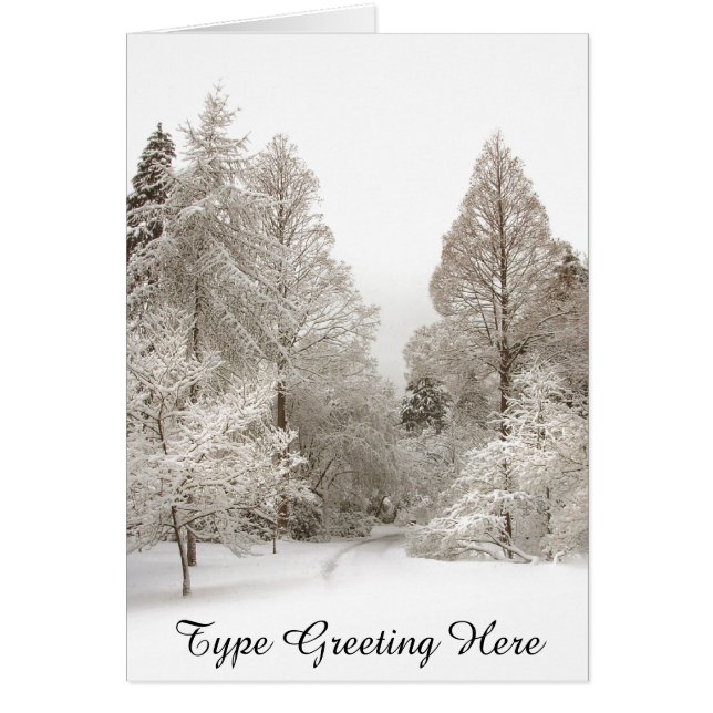 Cartes de neige de Vancouver Cartes d'hiver person (Devant)
