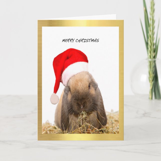 Cartes de Noël (Devant)