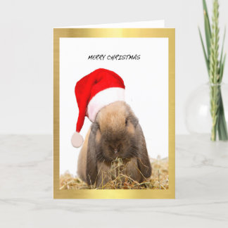Cartes de Noël