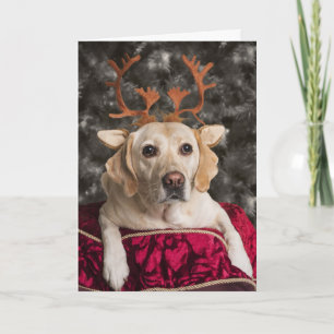 Cartes de Noël amusantes du Laboratoire Jaune