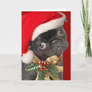 Cartes de Noël carlin