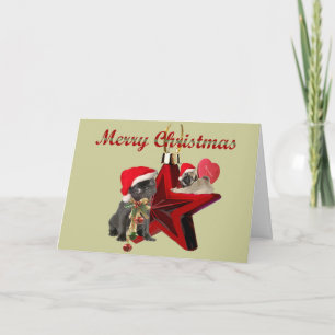 Cartes de Noël carlin