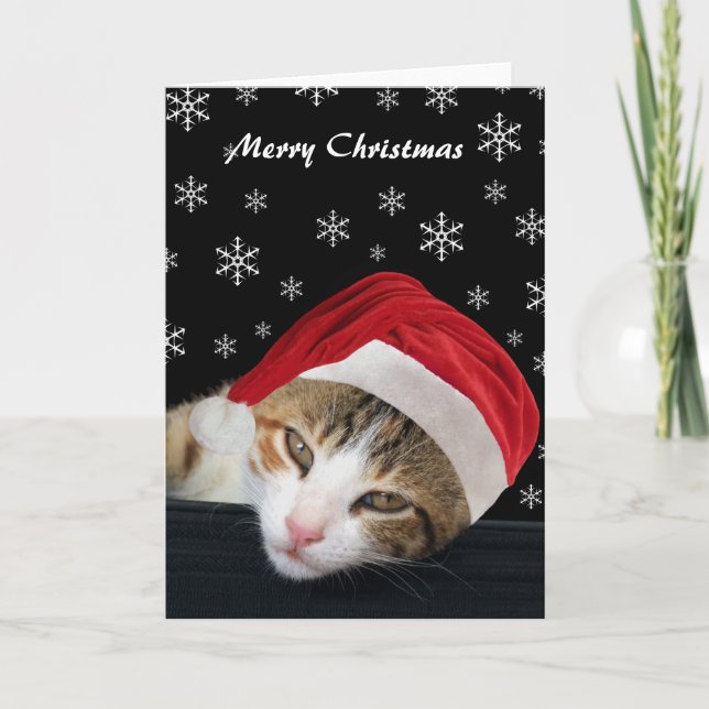 Cartes de Noël chats mignonnes (Devant)