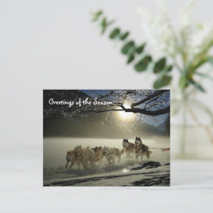 Cartes de Noël Chien de Traîneau Husky Sibérien Fê
