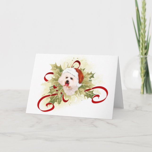 Cartes de Noël de Bichon Frise (Devant)