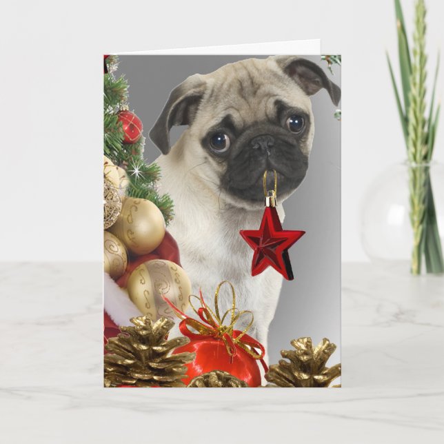 Cartes de Noël de carlin (Devant)