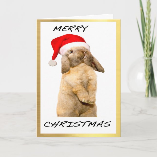 Cartes de Noël de conception "de lapin frais" (Devant)