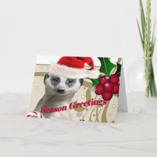 Cartes de Noël de Meerkat