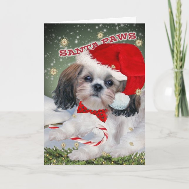 Cartes de Noël de pattes de Shih Tzu Père Noël (Devant)