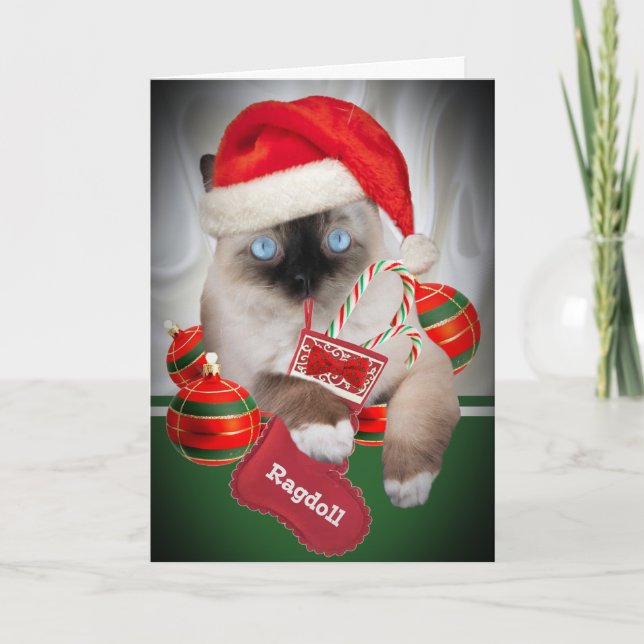 Cartes de Noël de Ragdoll (Devant)