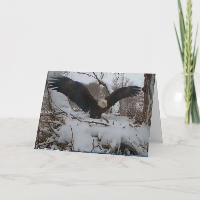 Cartes de Noël des aigles de Decorah (Devant)