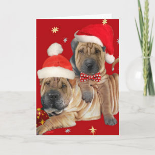 Cartes de Noël des frères Shar-pei