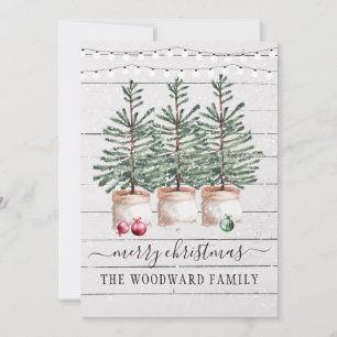 Cartes de Noël des neiges des pins rustiques