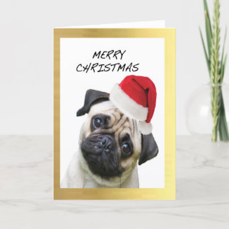 Cartes de Noël design "mignonne Carlin"